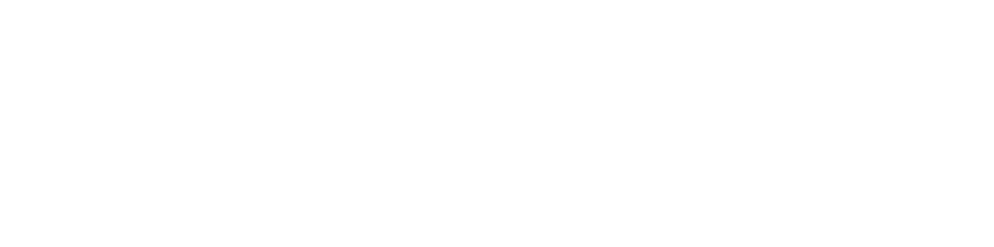 Doinel International